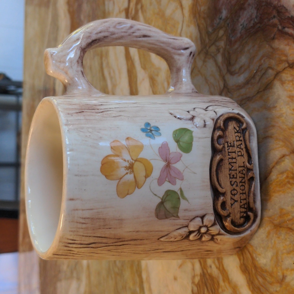 Yosemite National Park Mug 3D